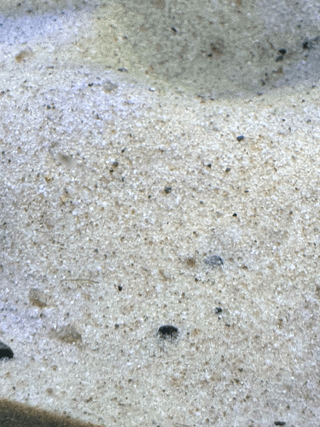 2Kg Silver Sand